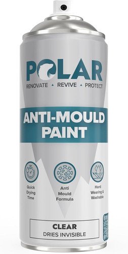 Polar anti mould spray - mould, paint