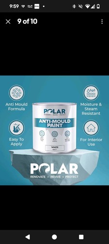 Protect your home from mould - protect,
