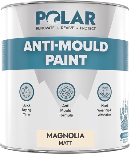 Anti mould paint 500ml - mould,
