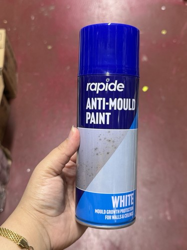 Anti mould paint - anti,