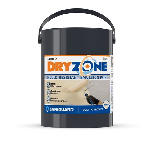 Dryzone anti mould - mould, paint