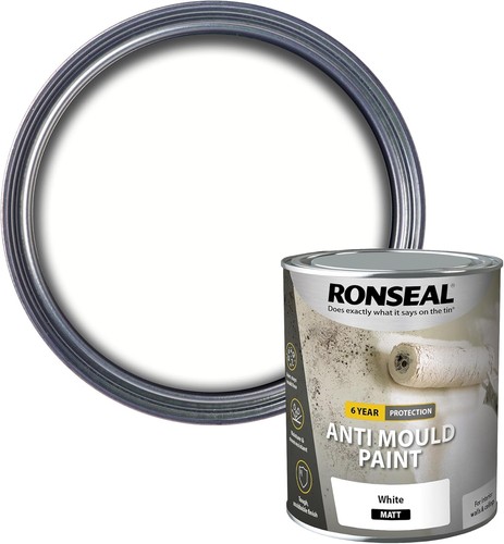 Ronseal anti mould paint - mould,