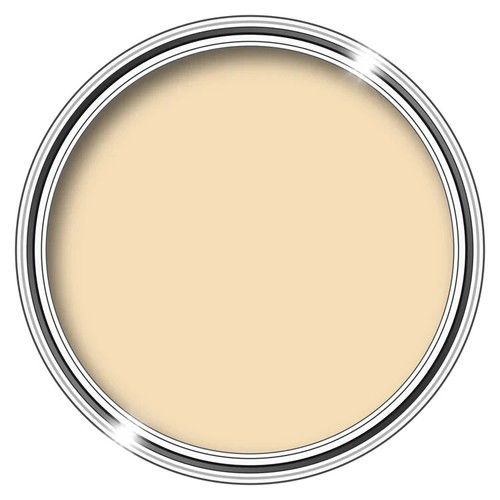 Litre anti mould paint - 2.5,