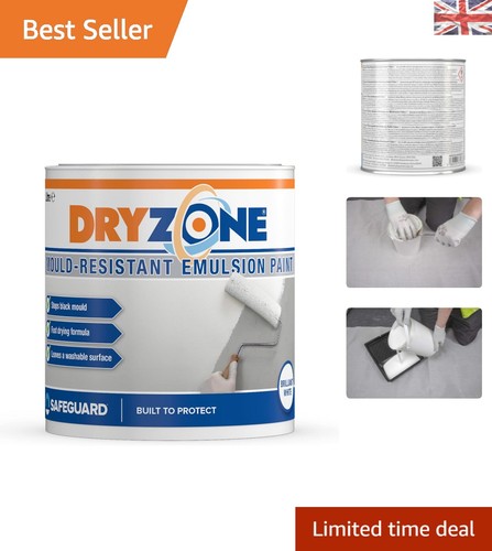 Anti mould paint - mould, –