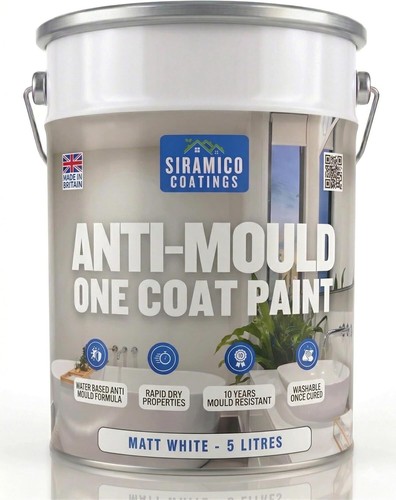 Anti mould paint 10 - 10, year