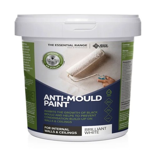 Anti mould paint - white, matt