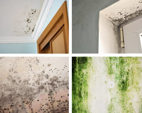 Anti condensation mould - anti-condensation, anti-mould