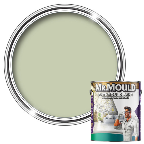 Mould anti - mould, paint