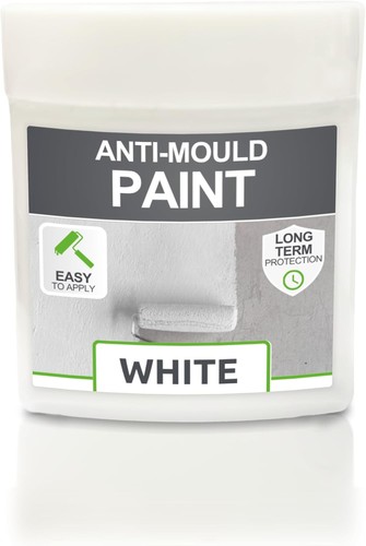 Anti mould paint - mould,
