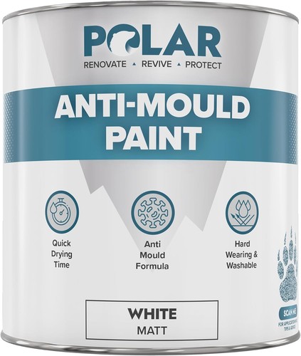 Polar anti mould paint - mould,