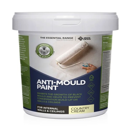 Anti mould paint - paint, protects