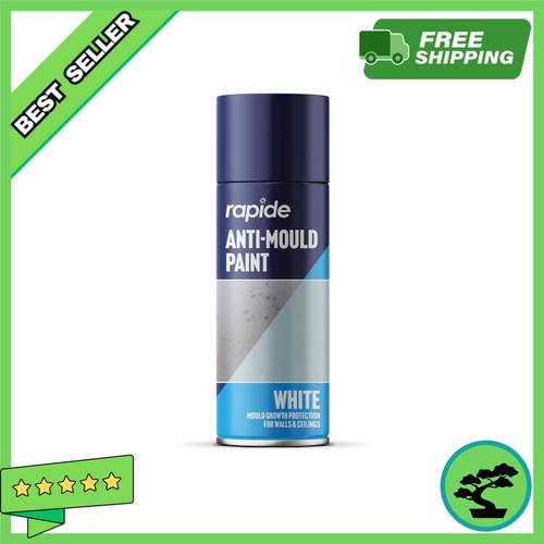 Rapide anti mould - rapide, paint