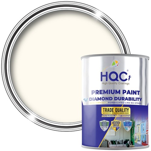 Anti mould paint - paint, 0.5