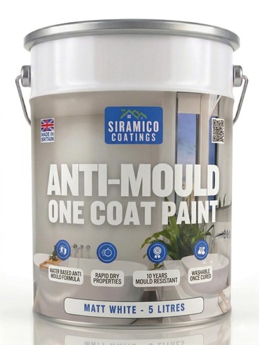 Anti mould paint litres - mould, 5