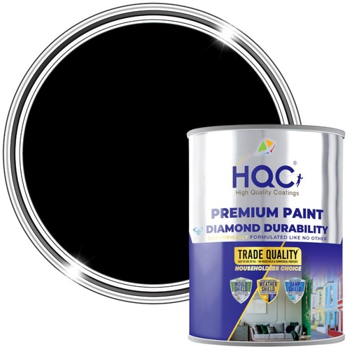 Anti mould paint black 1l - anti,